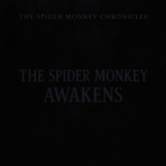The Spider Monkey Awakens