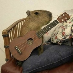 capybara song — [only capybara]