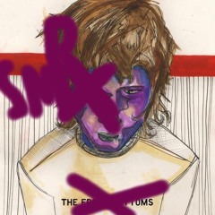 Twin Sized Mattress flip