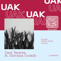 UAK Feat. Dionisia Cudalb - Caut  (Hoani Teano Remix)