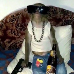 La Guaracha Que Nos Gusta- DJ Benjamin ignacio