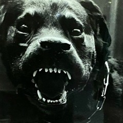 ink, blu blud (p6nk)