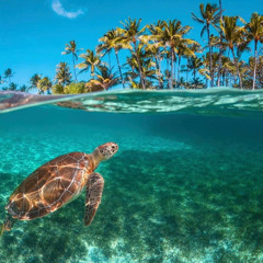 Chan - Tysiące (Prod. Mario Alexander)