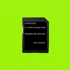 DIMENSION FT.POPPY BASKCOMB -WDWG  REY REMIX* OUT NOW