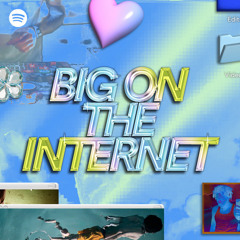 big on the internet