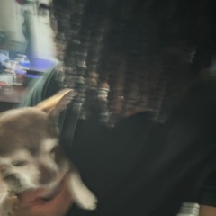 give it time w/ teejay?! (p. kashik + jae)