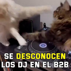 Rigomarty b2b Fredy Jimz