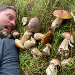 Words Coming Out of the Trees