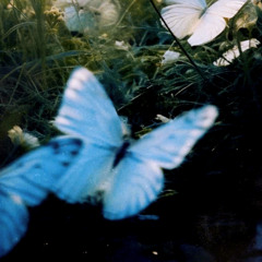 Aether