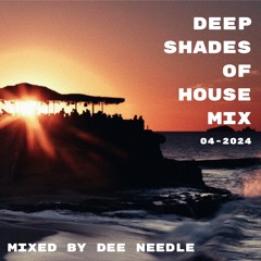 Deep Shades Of House Mix (04 - 2024)