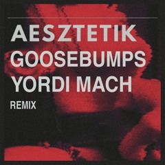 Aesztetiks - Goosebumps (Yordi Mach Remix)