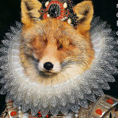 The Blind Fox