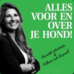 Afl. 10  - Meest gestelde vragen