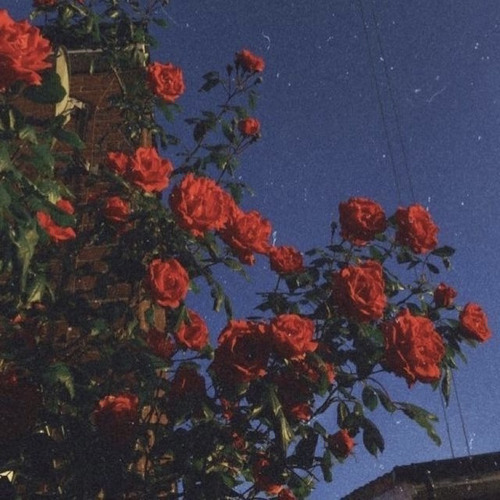 Henny *Interlude* (Prod. Eem Triplin)