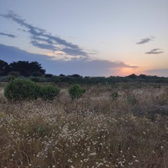 Canon / Instru Sorgen - chill trap typebeat