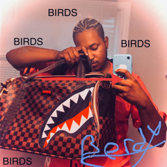BERDY - BIRDS (prod. anywaywell)
