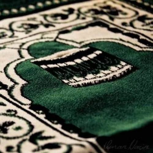 فَدَعَا رَبَّهُ أَنِّي مَغْلُوبٌ فَانتَصِرْ | أحمد النفيس