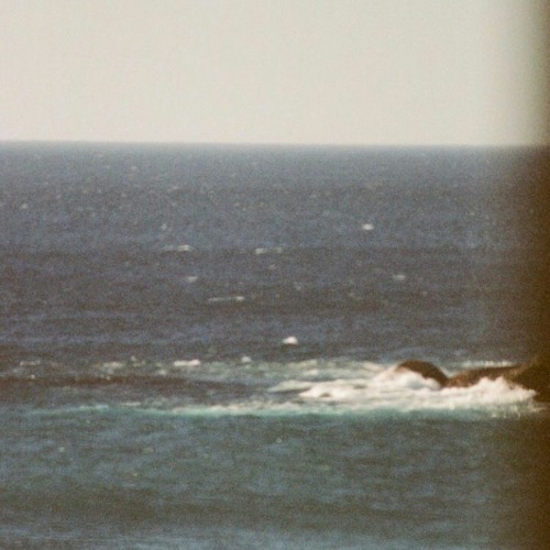 cruel summer by taylor swift, a lofi remix (sped up)