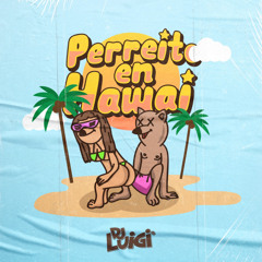 Dj Luigi - Perreito En Hawai