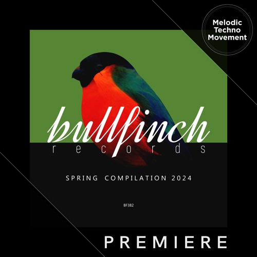 PREMIERE: QazaQ (BY)Neurons  - (Original mix) [Bullfinch]