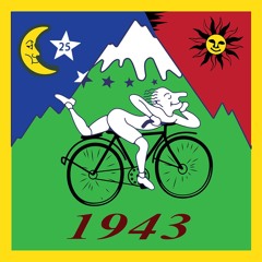Hoffman 23