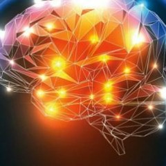 Voyage Trouble Balancé Wilma TABAR