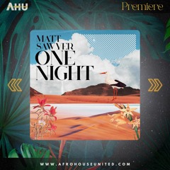 AHU PREMIERE: Matt Sawyer - One Night (Original) [VILLAHANGAR]