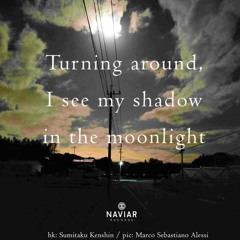 shadow in moonlight [naviarhaiku526]