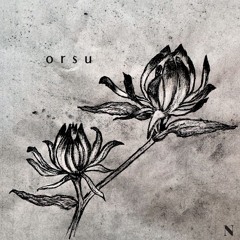 Nachtblumen Podcast  #26 orsu