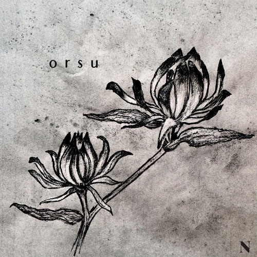 Nachtblumen Podcast  #26 orsu