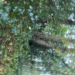 Resonant Dub