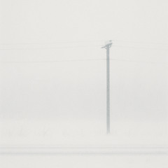 Untitled 3 (entry for Sintēze 2025 remix contest)