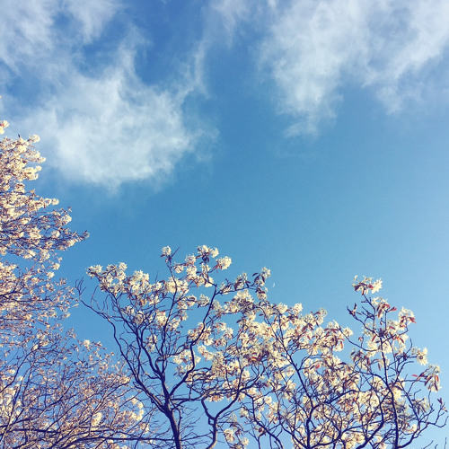 들려줄게 | To. You - 닐로 (Nilo)