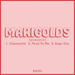 Chamomile (Acoustic Version)