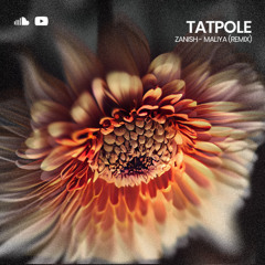 ZANISH - TATPOLE