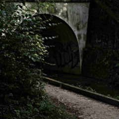 jseš tak roztomilej..