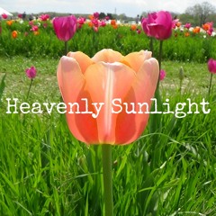 Heavenly Sunlight
