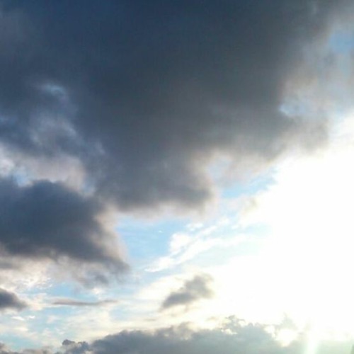Sunlight