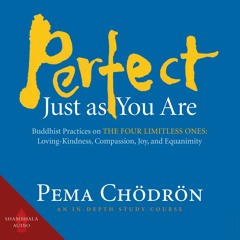 Perfect Just As You Are Audiobook