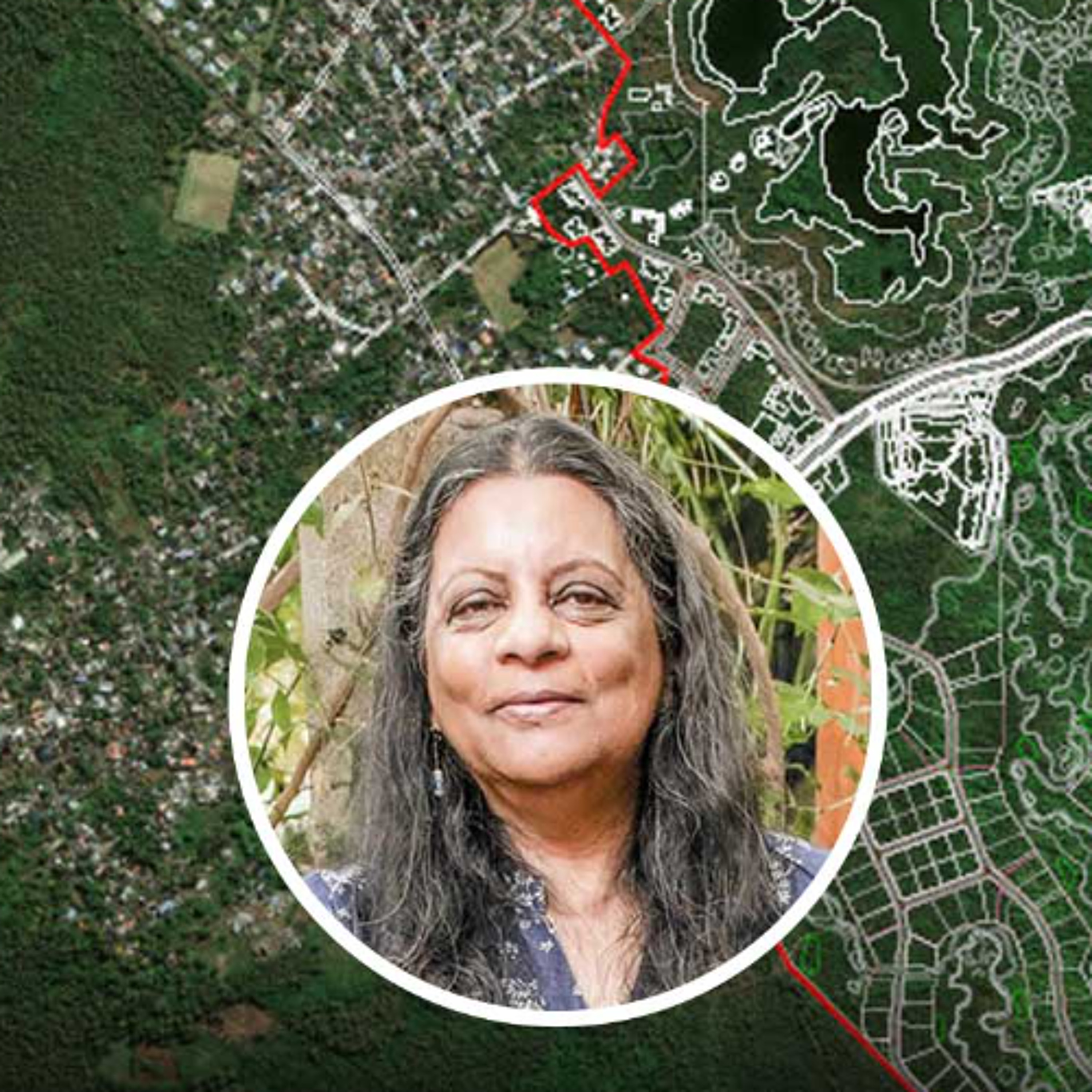 Projet de Smart City à Roches-Noires : le site est particulièrement reconnu pour sa sensibilité écologique
