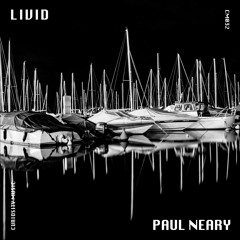 | PREMERE: Paul Neary - Avalanche (Hc Kurtz Remix) [Curiosity Music] |
