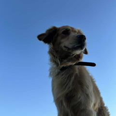 nevermind [prod. hulek]