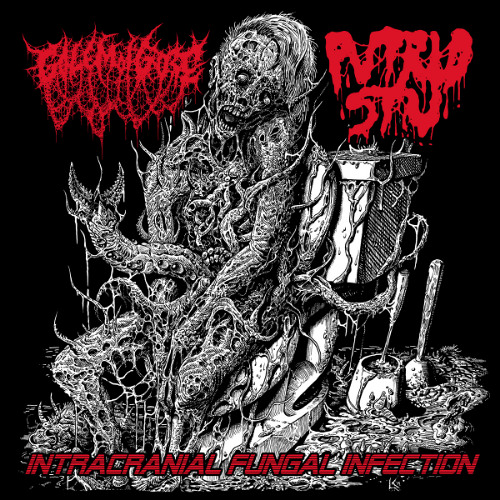 Golem of Gore / Putrid Stu – Intracranial Fungal Infection (Full Split 2019 Goregrind)