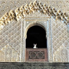 مالي أحنّ لمن لم ألقهم أبدا - من بردة تميم البرغوثي
