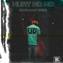 Hurt No Mo ( prod by. Palaze)