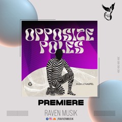 PREMIERE: Alex Schaufel Feat.Michele Lepore - Endless  [Dear Deer]