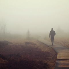 Walking The Black Dog