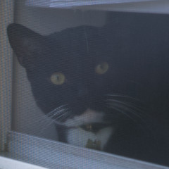 Eyes (Wine Lips cover)