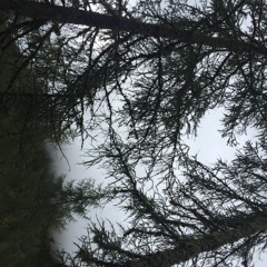 Akrüül - Achakkar