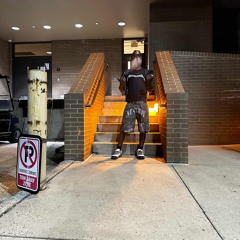 Type 3 Fun )STEDEMA & M.A.D.(